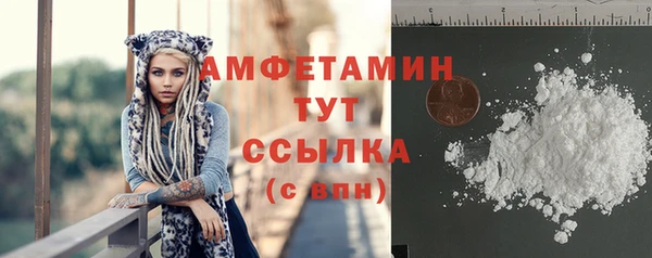 хмурый Дмитров