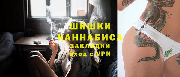прущая мука Дмитриев