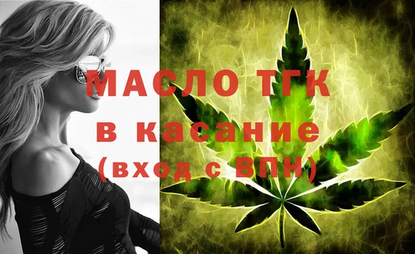 хмурый Дмитров