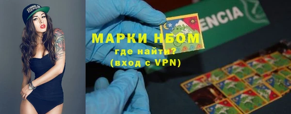 хмурый Дмитров
