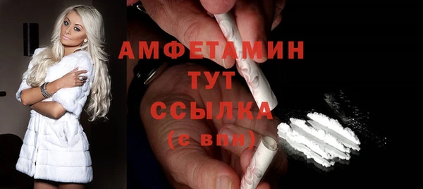 гашик Дмитровск