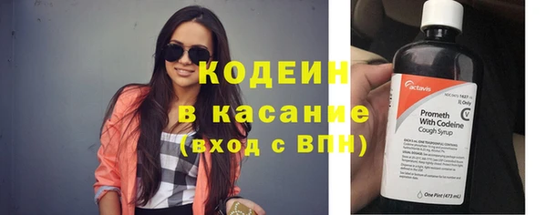 хмурый Дмитров