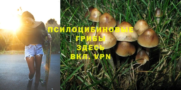прущая мука Дмитриев