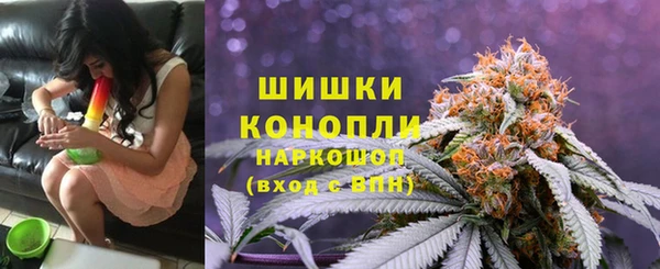 гашик Дмитровск