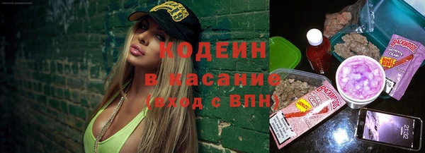 хмурый Дмитров