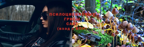 хмурый Дмитров