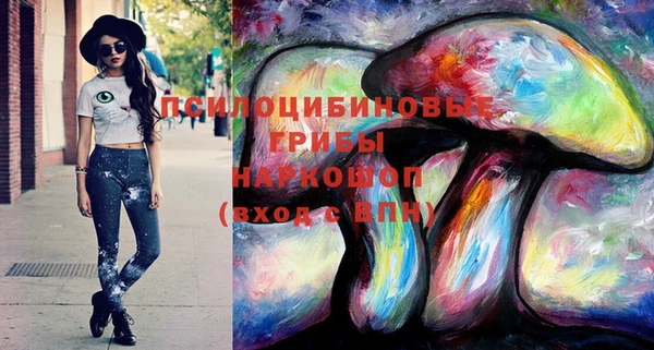 гашик Дмитровск