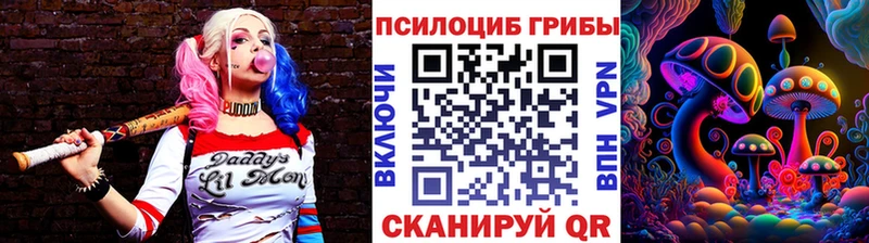 где можно купить   Ульяновск  Псилоцибиновые грибы прущие грибы 